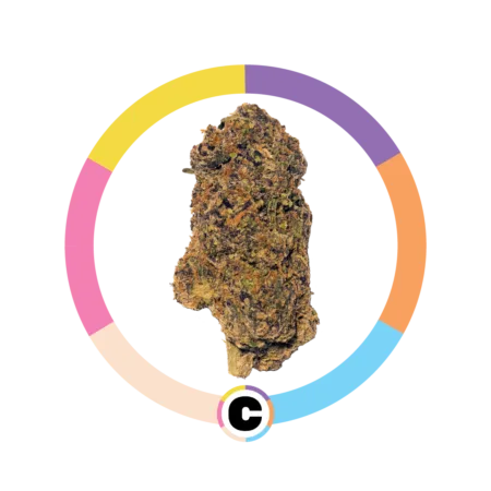 Ice Cream Cake | 14g