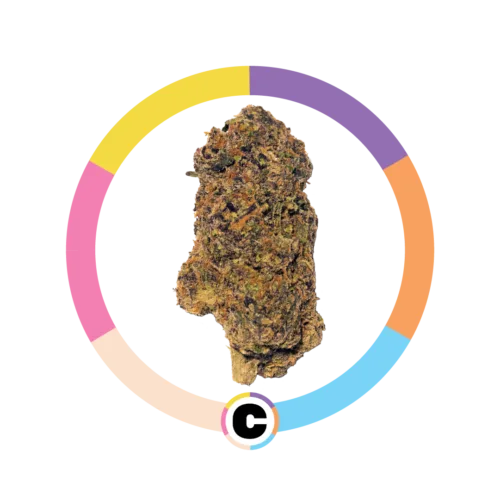 Ice Cream Cake | 14g