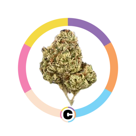 Gushers | 28g