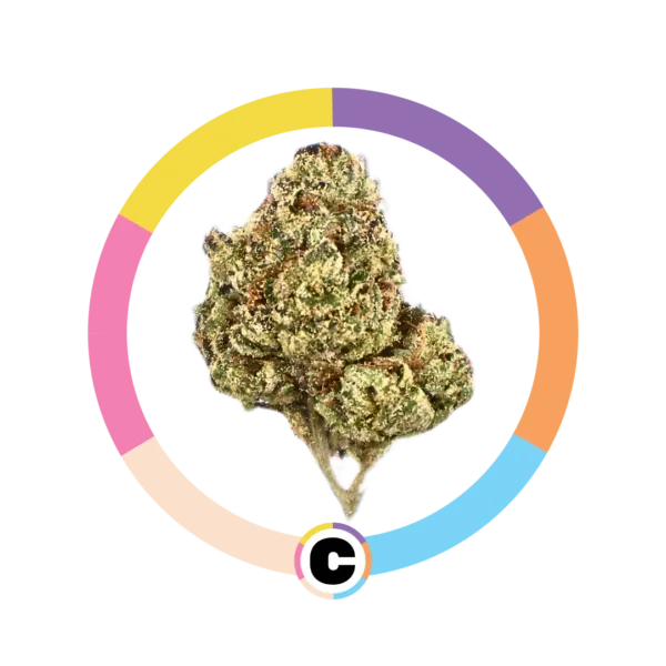 Gushers | 14g