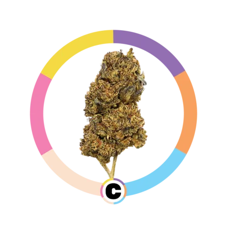 College Park | 28g
