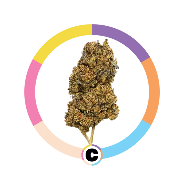 College Park | 28g