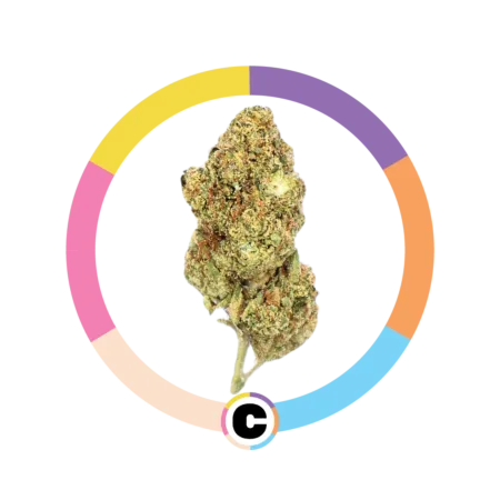 Georgia Pie | 28g