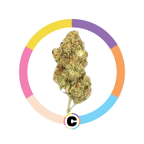 Georgia Pie | 3.5g