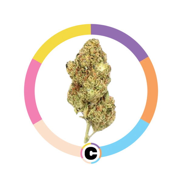 Georgia Pie | 3.5g