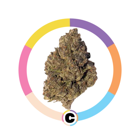 Gelato Wedding Cake | 3.5g