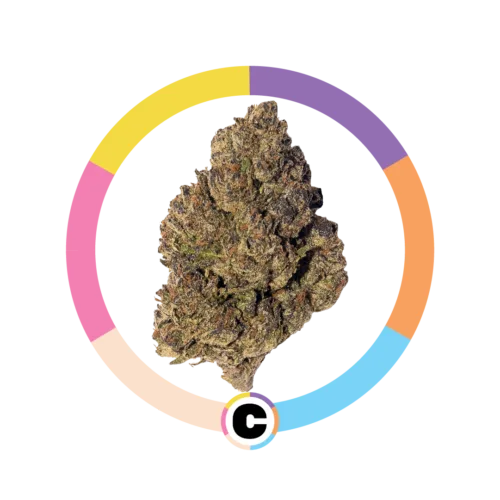 Gelato Wedding Cake | 28g