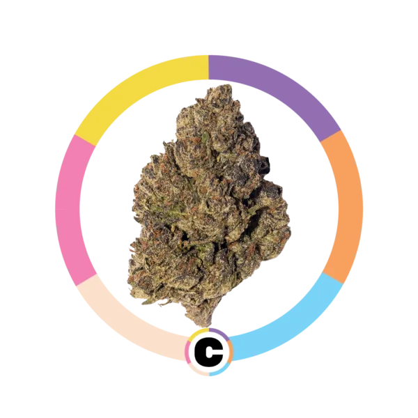Gelato Wedding Cake | 28g