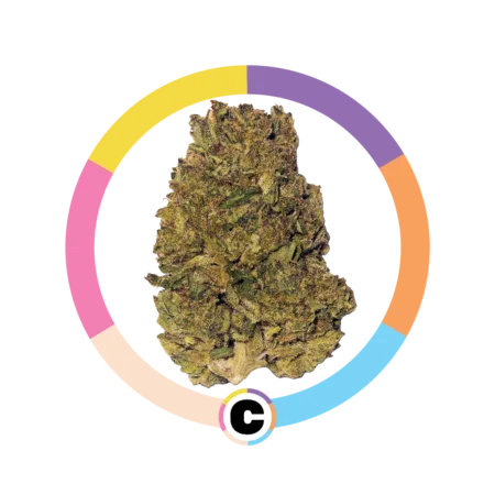 Modified Grapes | 3.5g