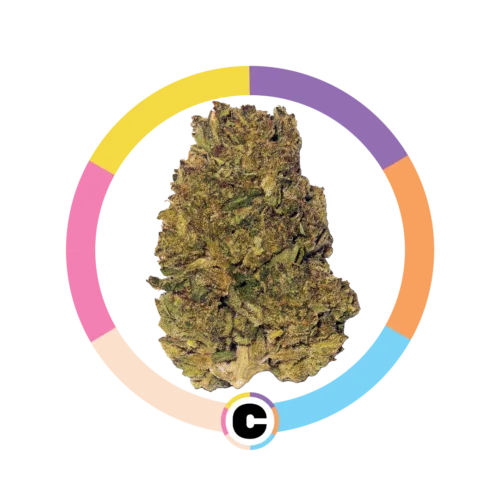 Modified Grapes | 28g