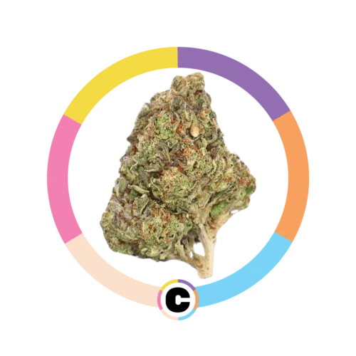 Permanent Marker | 14g