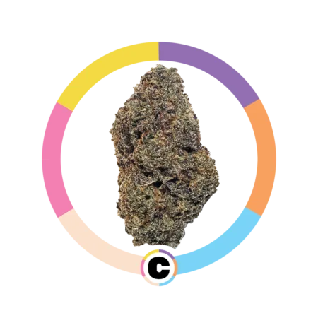 Purple Kush | 28g