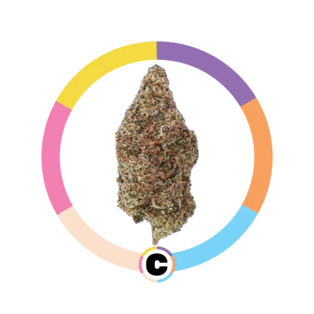 Cherry Zlushie | 28g