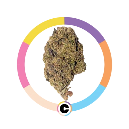 Gelato Wedding Cake | 28g