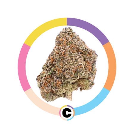 White Cherry Gelato | 14g