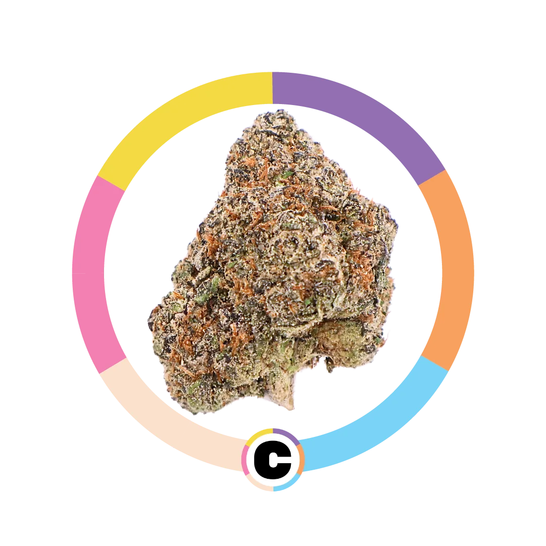 White Cherry Gelato | 14g