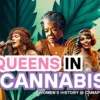Women, Cannabis, and History: A Legacy of Power and Healing