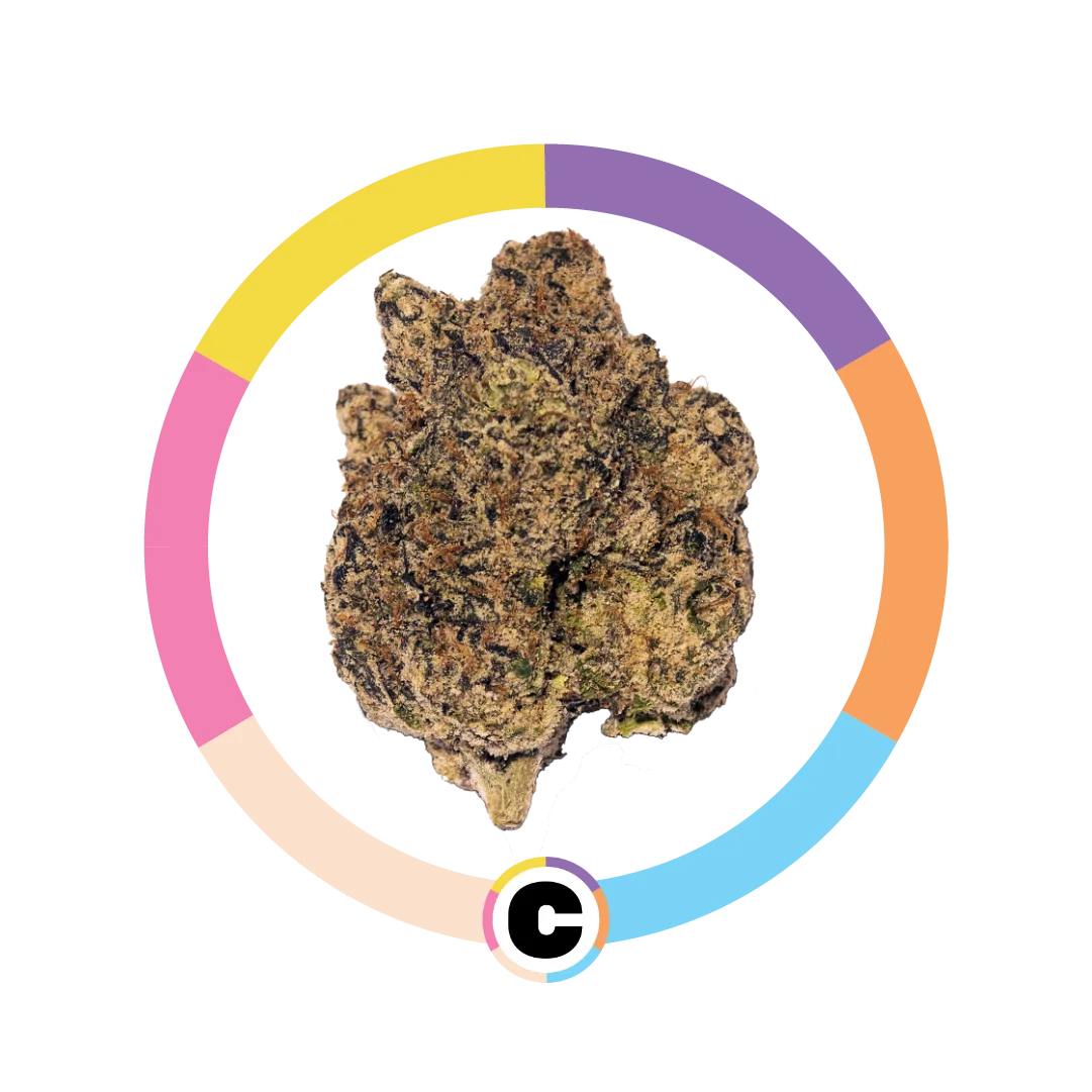 Black Cherry Gelato | 28g