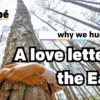 🌍 Why We Hug Trees: A Love Letter to Earth