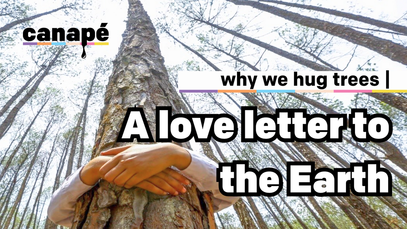 🌍 Why We Hug Trees: A Love Letter to Earth