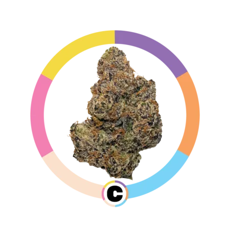 Birthday Cake | 14g
