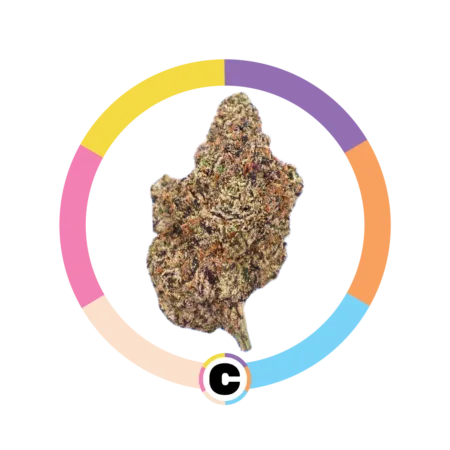 Frozen Black Cherry | 14g