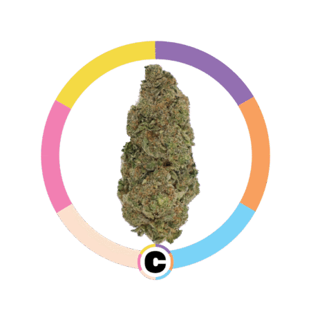 Donkey Breath | 3.5g