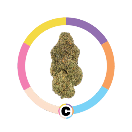 Hawaiian Pineapple | 6.5g