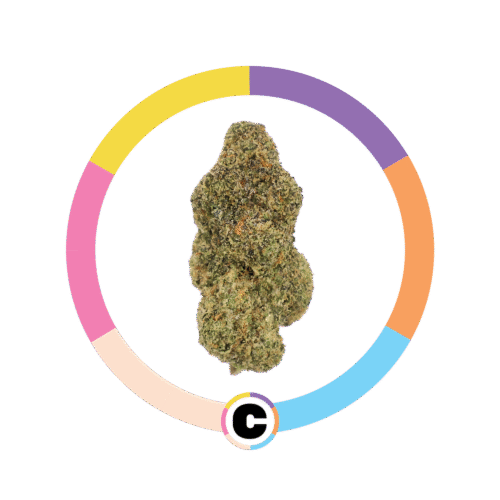 Hawaiian Pineapple | 6.5g