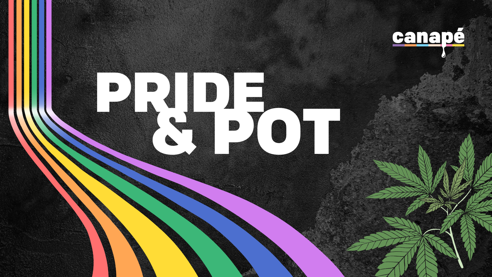 🌈🌿 Pride & Pot: How LGBTQ+ Activism Helped Blaze the Trail for Cannabis Legalization