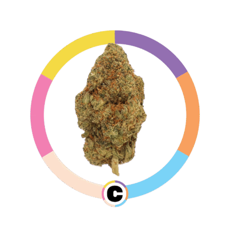 Raspberry Gelato | 28g