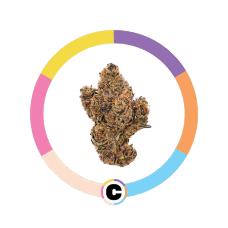 Strawberry Gelato | 8g
