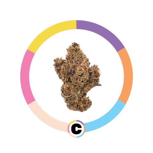 Strawberry Gelato | 8g