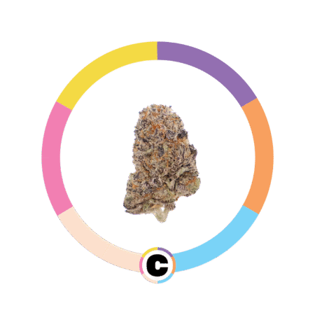 Sunset Mimosa | 3.5g