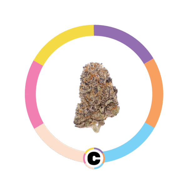Sunset  Mimosa | 14g