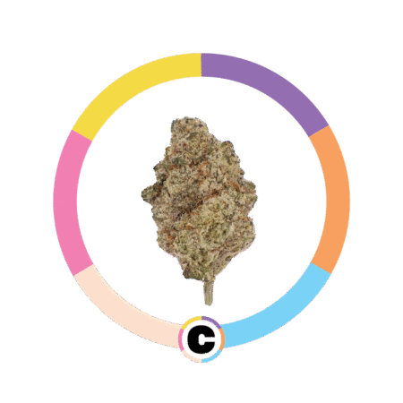 Strawberry Drip | 14g