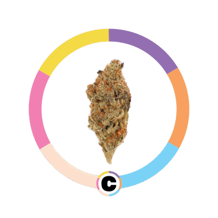 Supreme Lee Hi | 14g