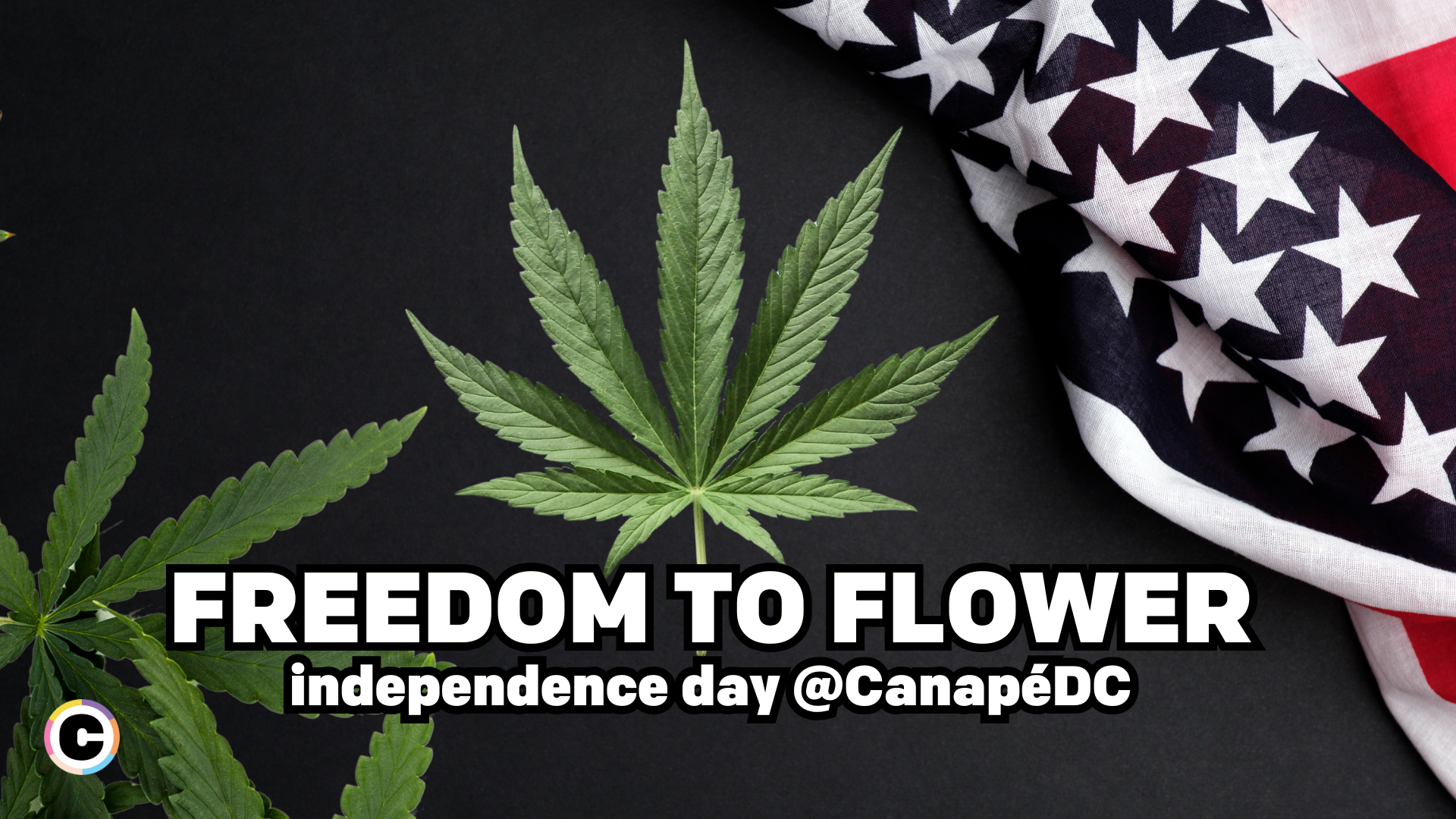 Freedom to Flower: Celebrate Independence Day the Canapé Way