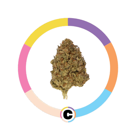 Ice Cream Gelato | 28g