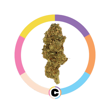 Girl Scout Cookies | 28g