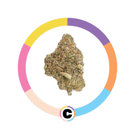 Miracle Alien Cookies | 28g