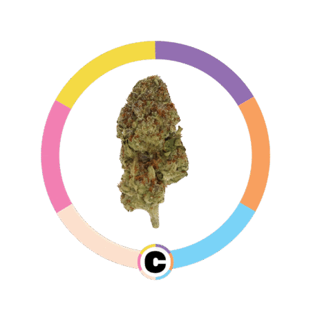 Pineapple Juice | 3.5g