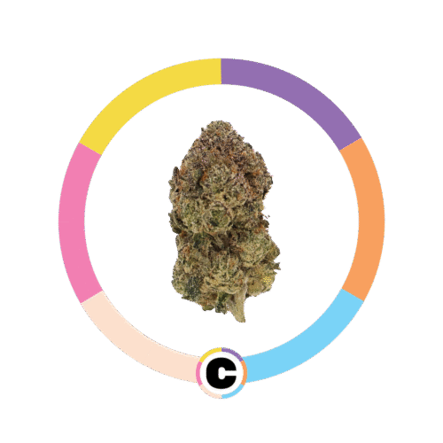 Laffy Taffy | 3.5g