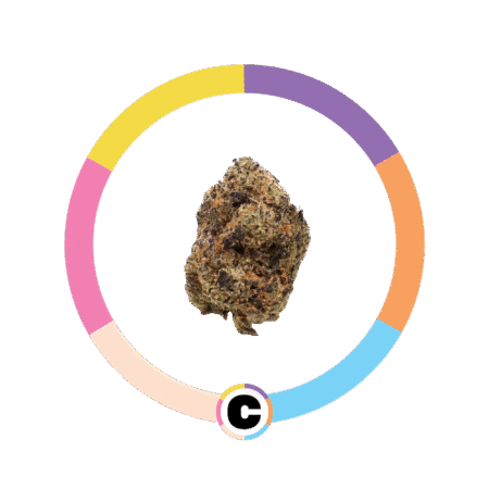 Gelato Runtz | 14g