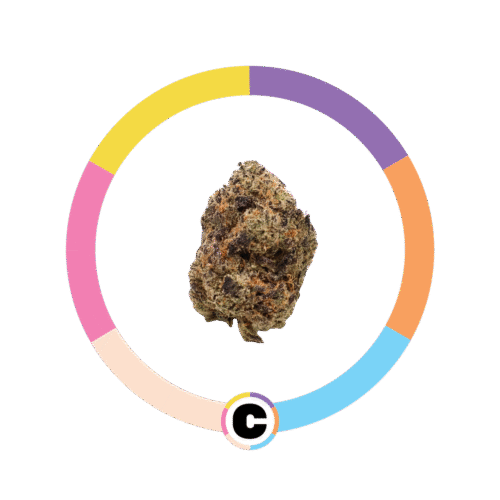Gelato Runtz | 3.5g