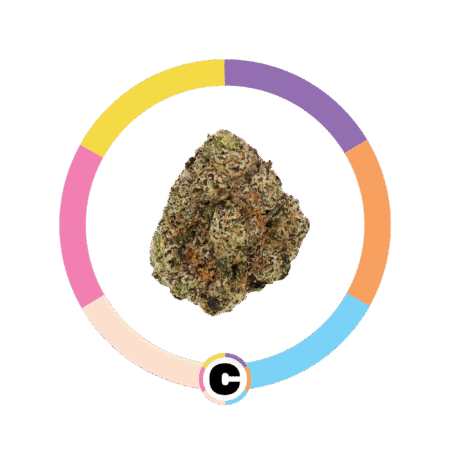 Blue Raspberry Gelato | 3.5g