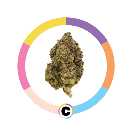 Dankberry | 14g
