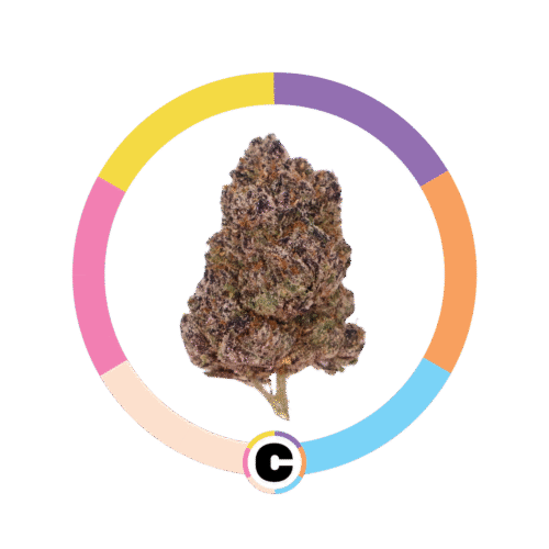 Bluelato | 28g