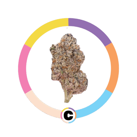 Chocolato | 3.5g