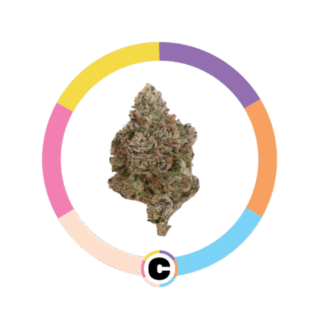 Lemon Cherry Zkittlez | 3.5g